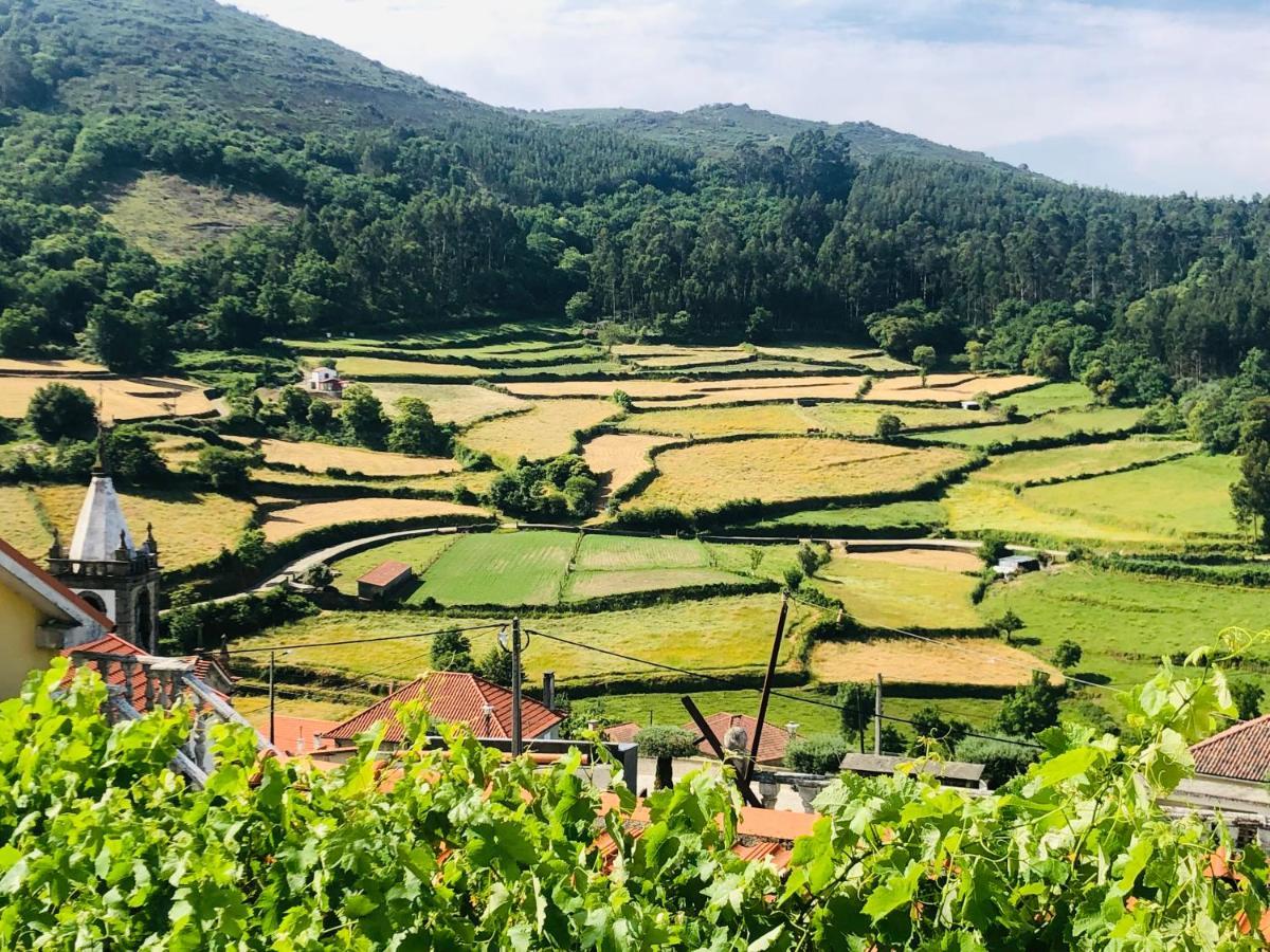 Casa De Labrujo - Circuito Aldeias De Portugal Villa Ponte de Lima Dış mekan fotoğraf